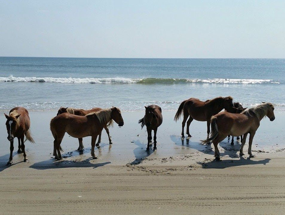 Discover 5 Unknown Beaches In The USA And How To Access Them