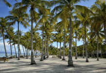Top 5 Best Family Vacation Spots in the Philippines