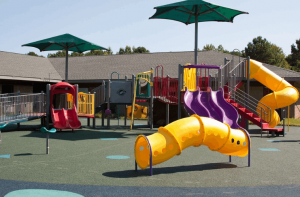 A Day at Wild Venture Water Park: What to Expect